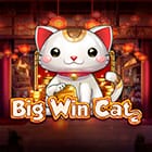 Big Win Cat